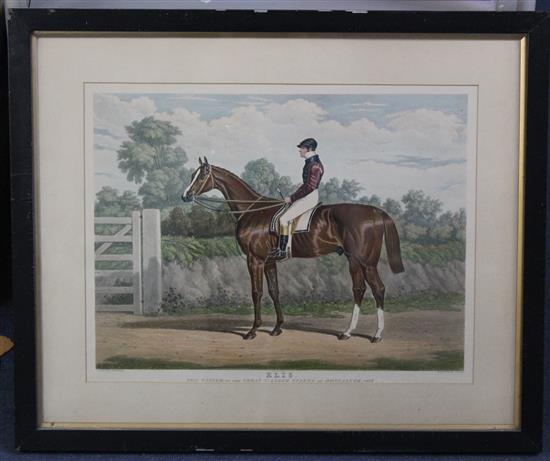 Hunt after Herring Ellis - The Winner of the Great St. Ledger Stakes 1836, 13.5 x 17.5in.